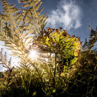 Naturfotografie