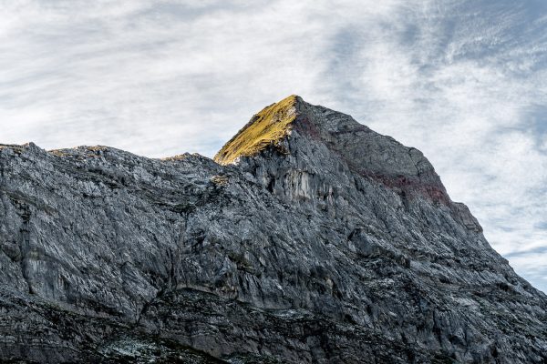 Berg