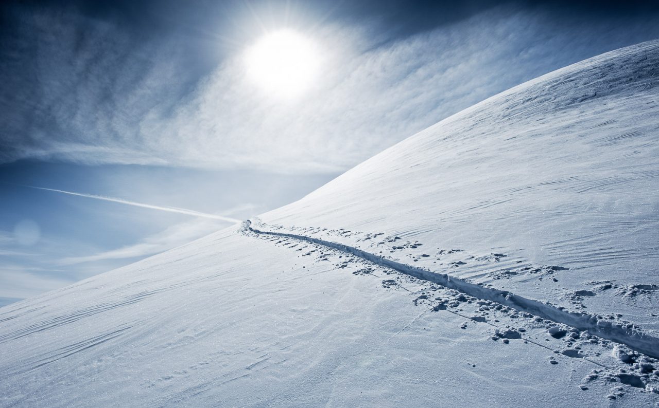 Spur im Tiefschnee