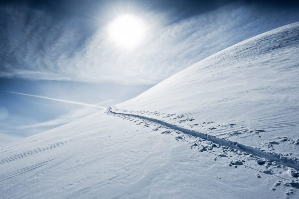 Spur im Tiefschnee