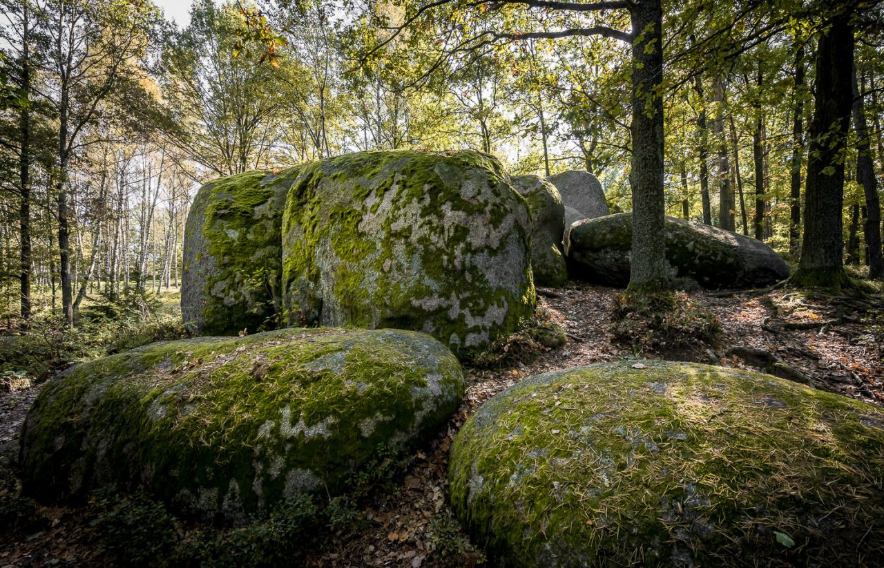 Waldviertel